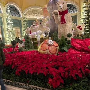 Meet your Posher, Amira